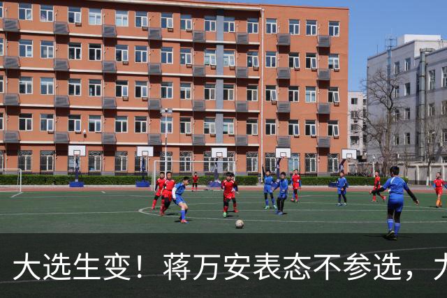 大选生变！蒋万安表态不参选，力挺卢秀燕出战，郑丽文失去资格？